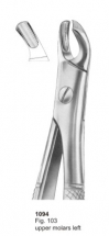  Fig. 103 upper molars left 